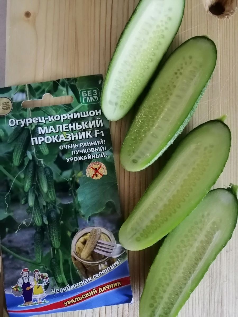 Семена Огурец Маленький проказник F1